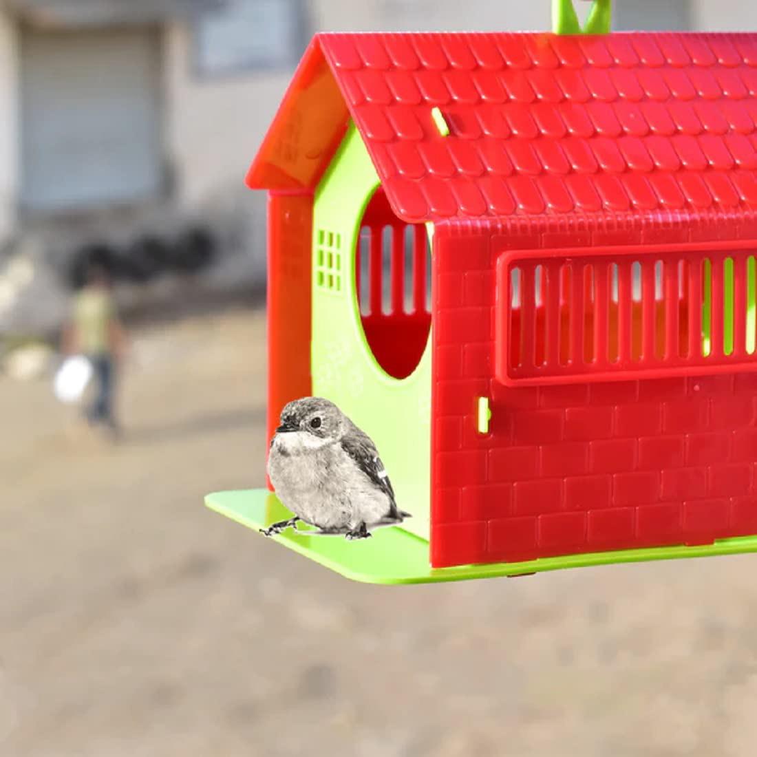 Bird House