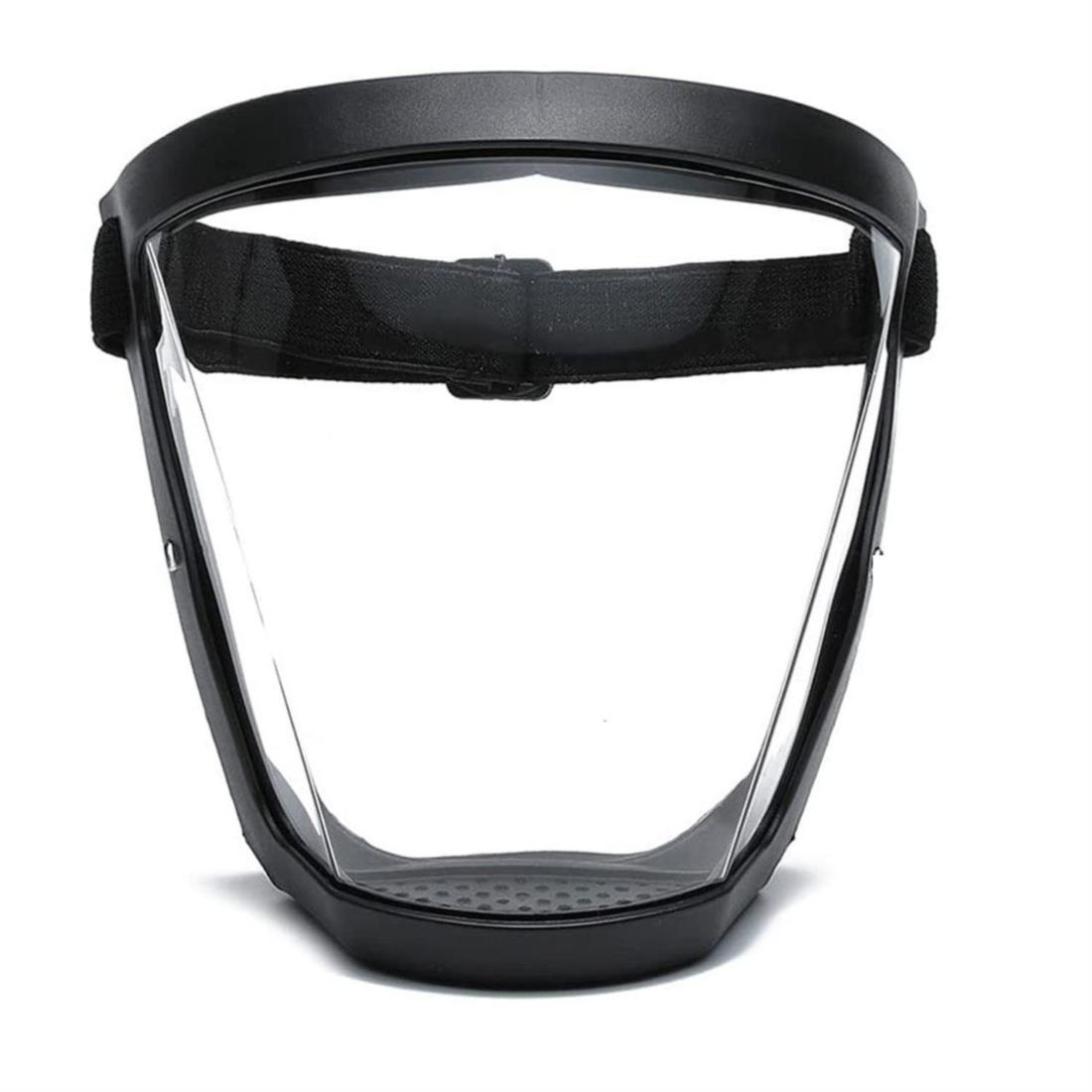 Transparent Faceshield Mask
