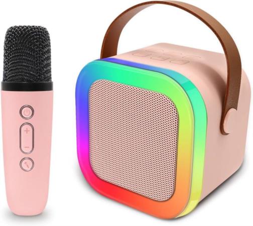 Mic With Bluetooth Speaker