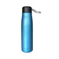 Stainless Steel Insulated Water Bottle 500 Ml