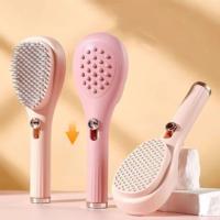 Lady Hair Comb, Hair Brush With Handle