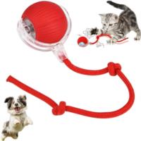 Cat Dancing Ball