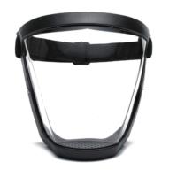 Transparent Faceshield Mask